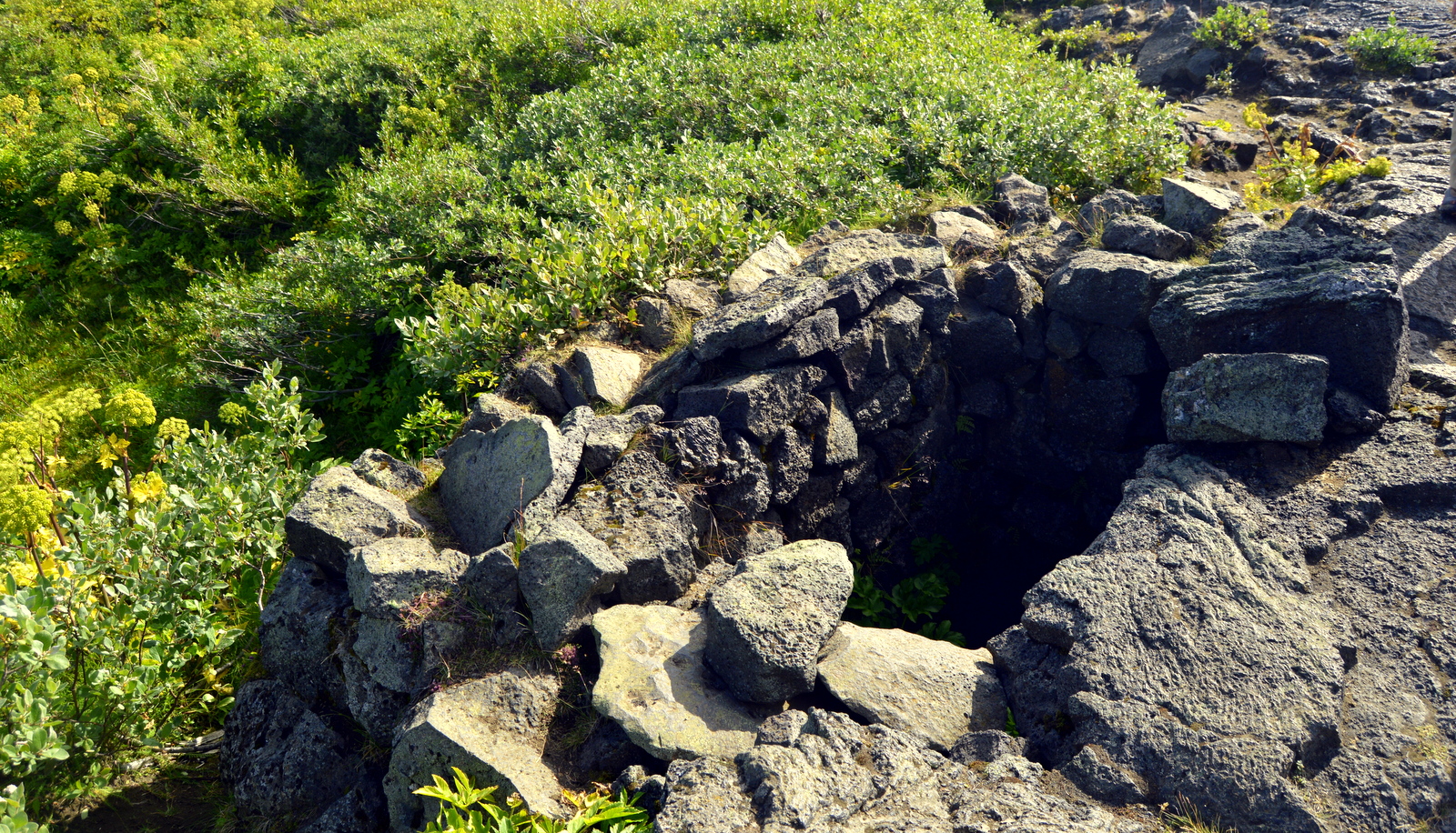 above sea level - and at the top there is a shield volcano